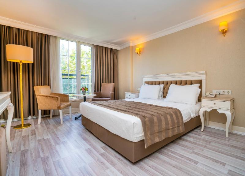 Standard Double or Twin Room image 3