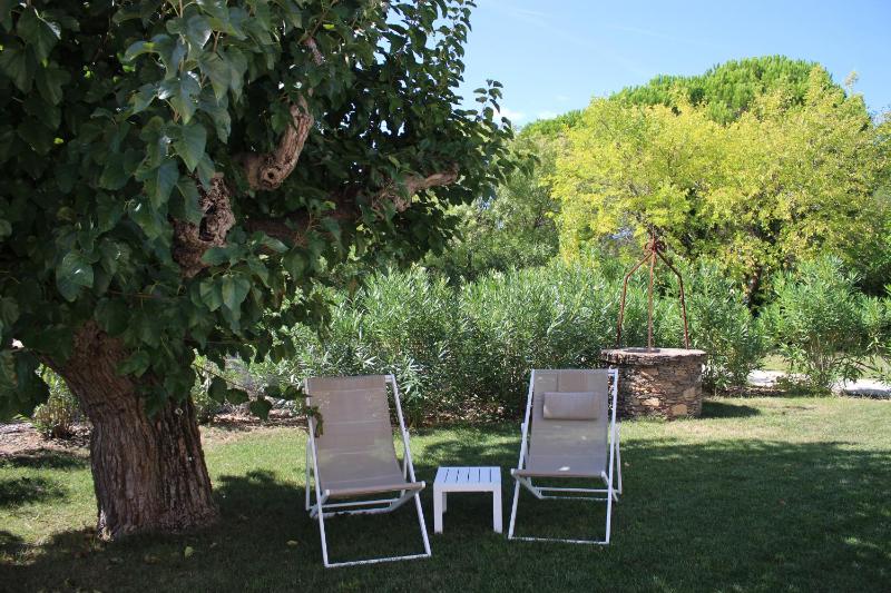 One-Bedroom Deluxe Apartment with Garden image 3