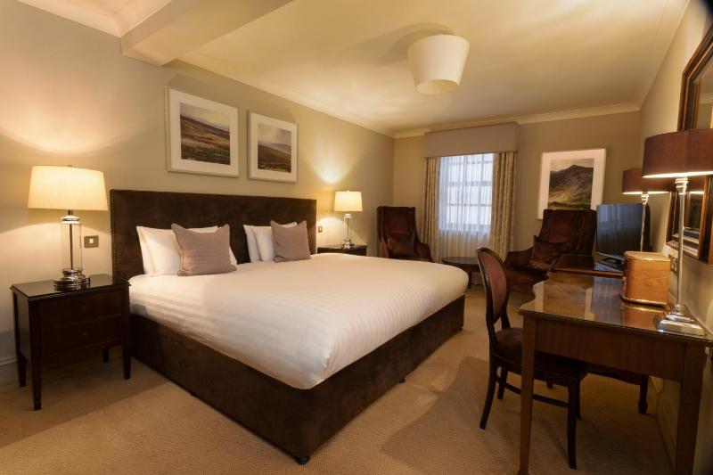 Deluxe King Room image 1