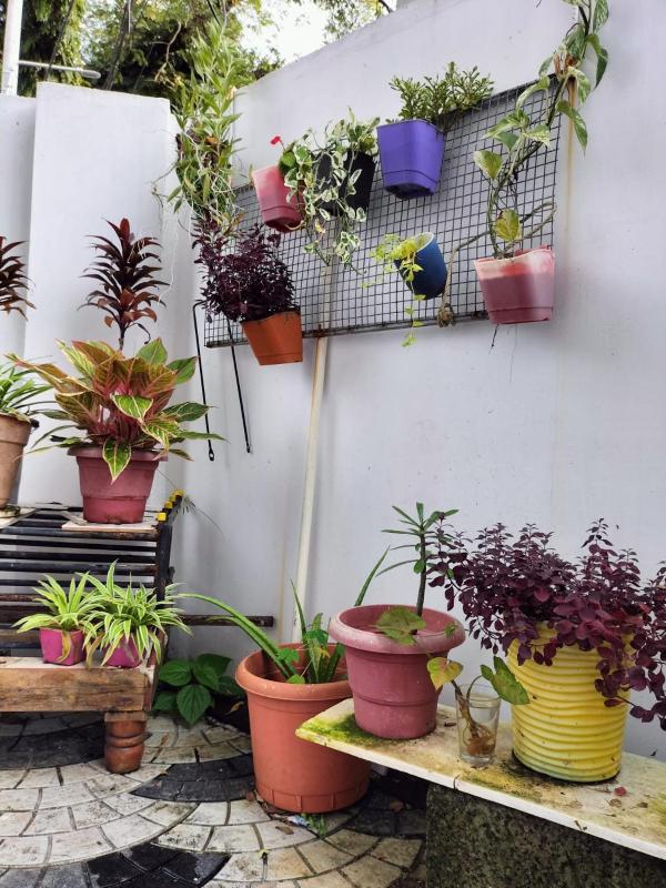 joseys homestay - image 14