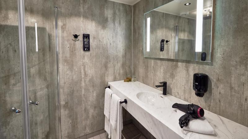 Standard Double or Twin Room image 4