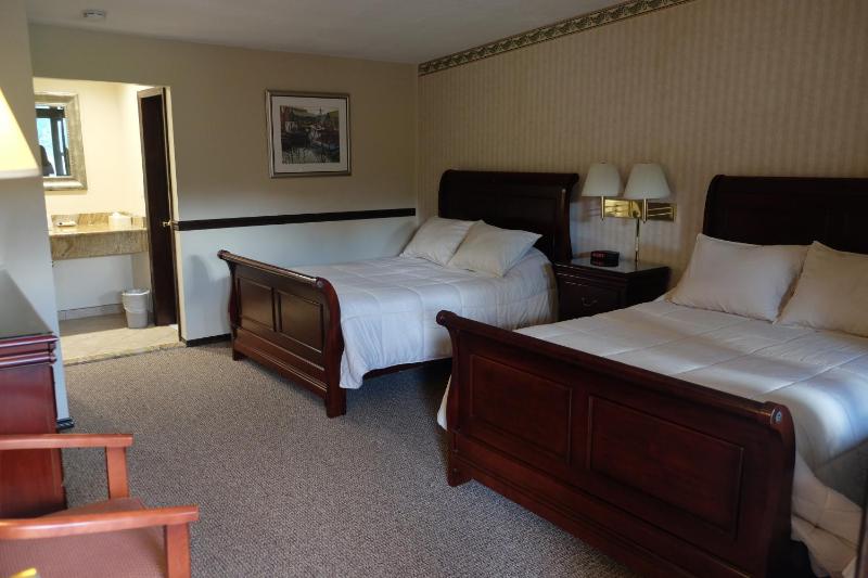 Deluxe Double Room (2 Adults + 1 Child) image 1