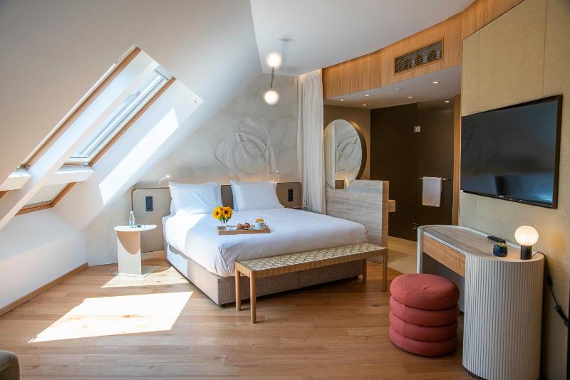 Premium Suite image 4