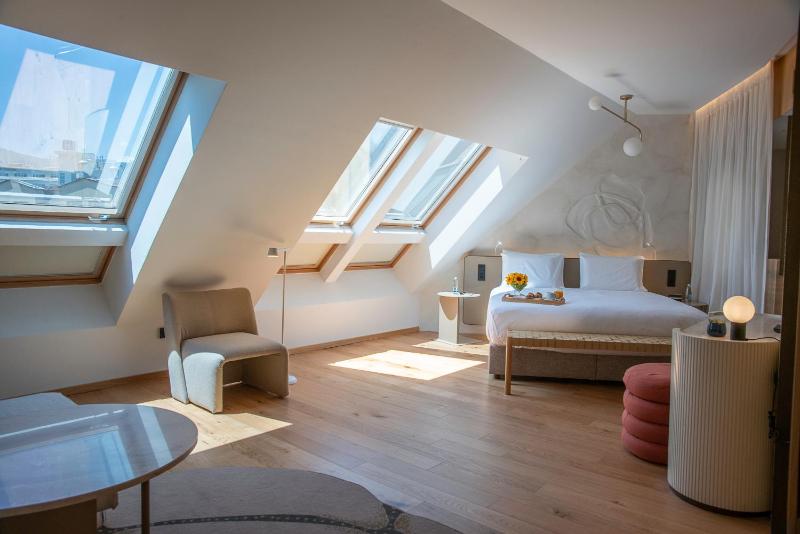 Premium Suite image 2