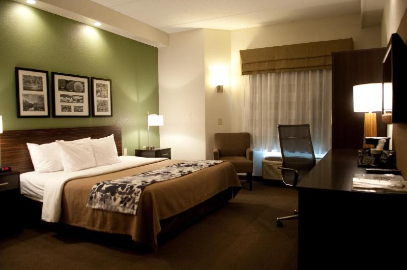 King Room - Non-Smoking image 2