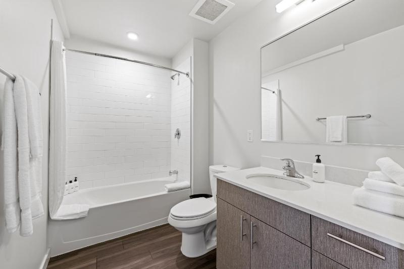 One-Bedroom Apartment image 4