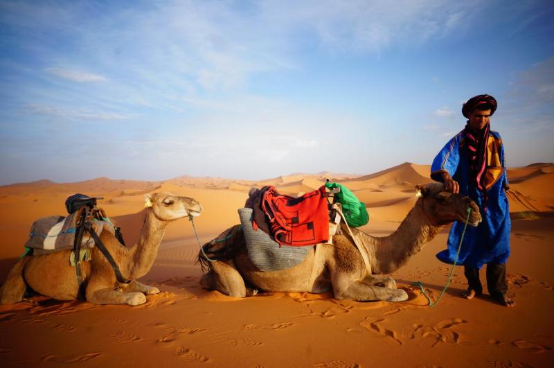 Sahara camel tours camp - image 18