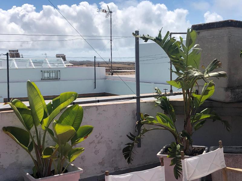 ABA Tropical & ABA Suite - image 19