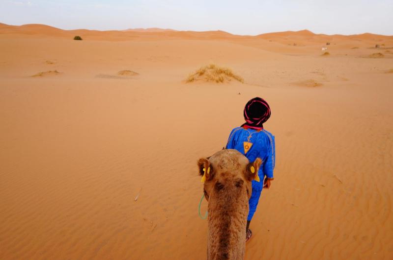 Sahara camel tours camp - image 33