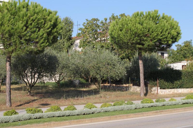 Apartments and rooms with parking space Rovinj - 7170 - image 38