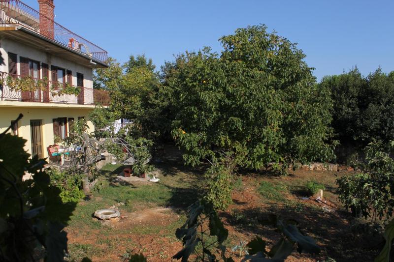 Apartments and rooms with parking space Rovinj - 7170 - image 34