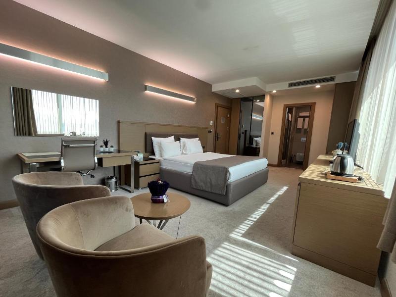 Executive King Room image 4