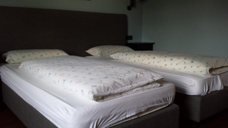 Twin Room image 1