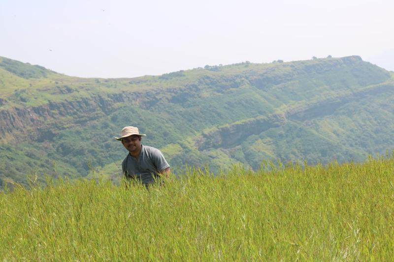 Shinde's Tikona Valley Farm - image 6