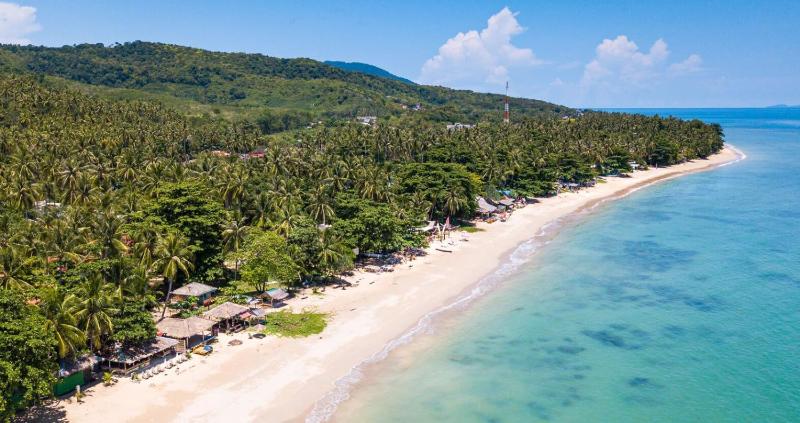 Scandinavian Beach Resort - image 4