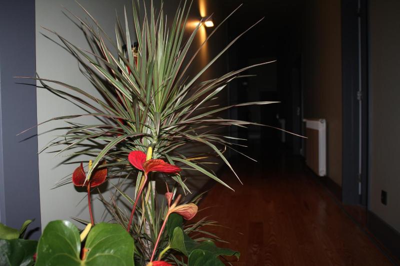 Superior Suite image 3