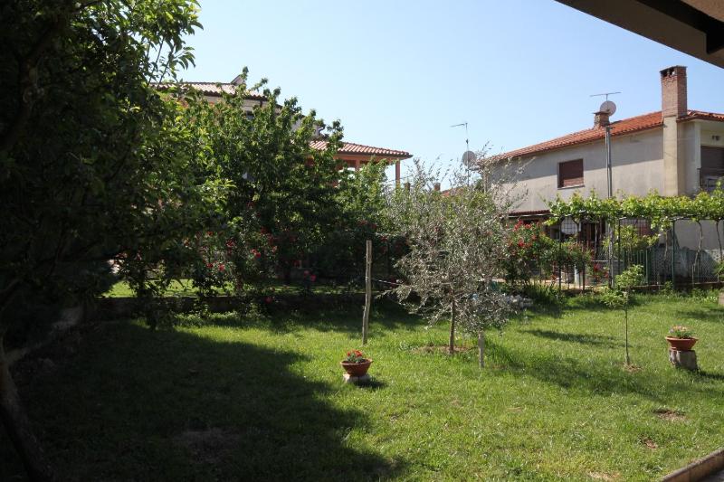 Studio with Terrace image 2
