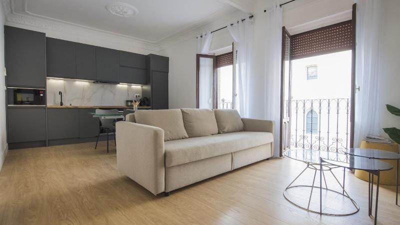 Apartamentos Boutique Puerta de Reyes - image 10