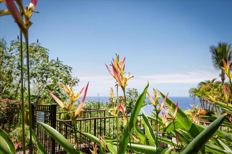 Kona Westwind 1 - image 13