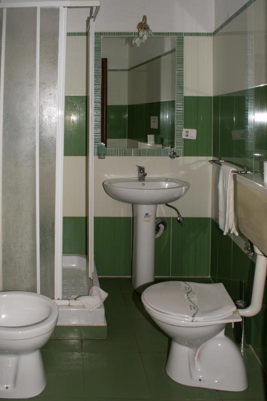 Large Single Room image 2