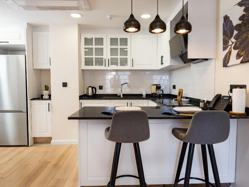 One-Bedroom Apartment image 3