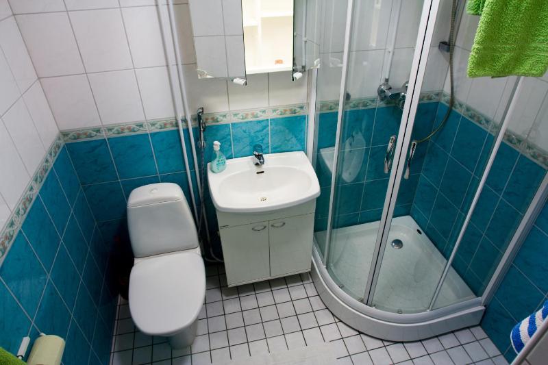 One-Bedroom Apartment image 2