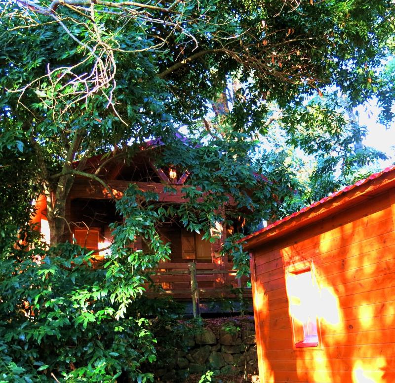 Bungalow (4 Adults) image 2