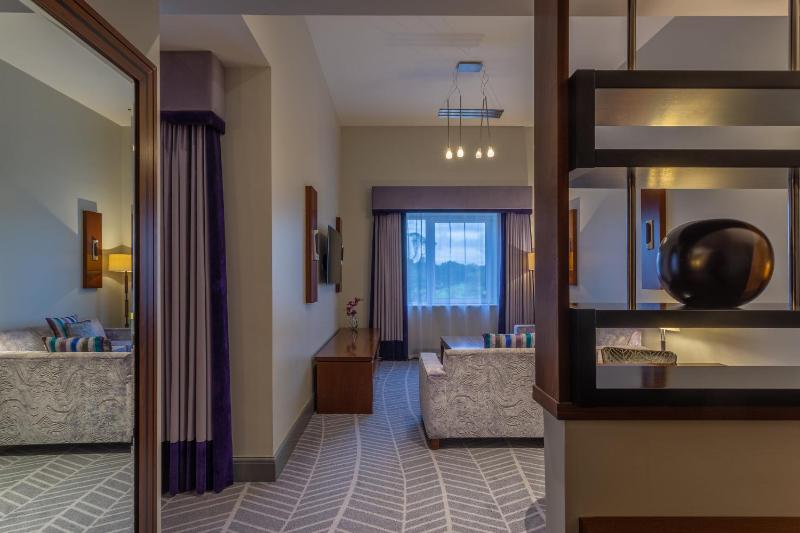 Junior King Suite with Park View image 3