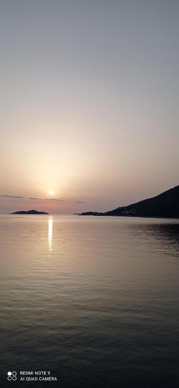 Studio with Terrace image 2