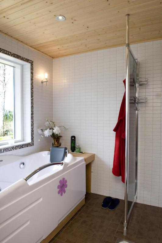 One-Bedroom Apartment image 2