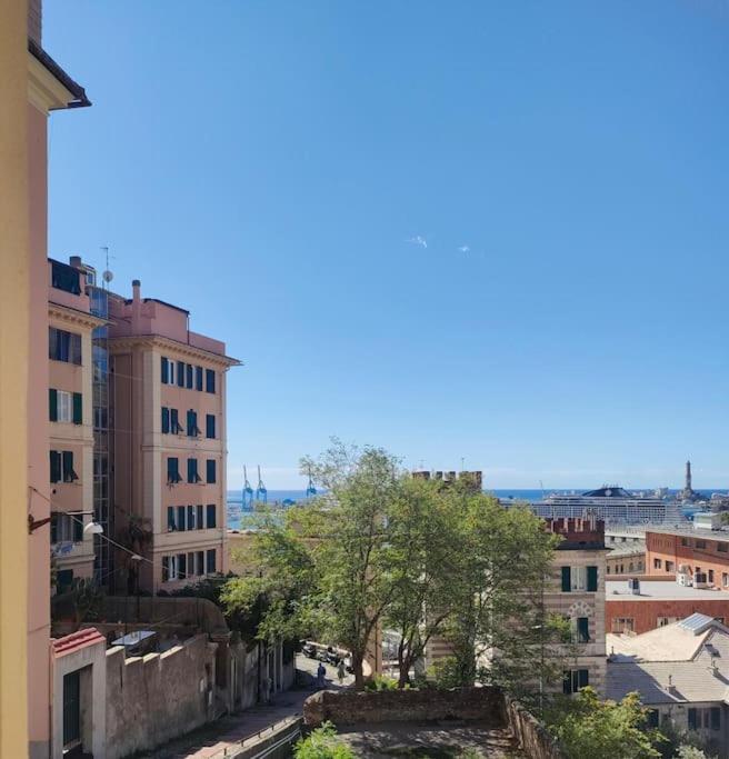 La finestrella sul porto - image 6