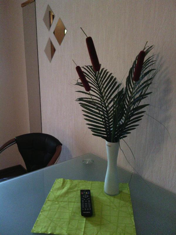 Apartment Typ A image 2