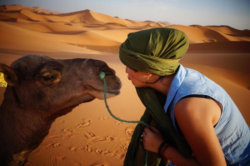 Sahara camel tours camp - image 34