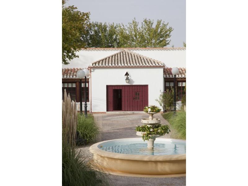 Superior Double Room image 3