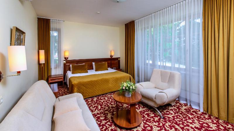 Superior Double or Twin Room image 4