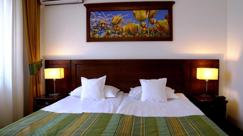 Standard Double Room image 4