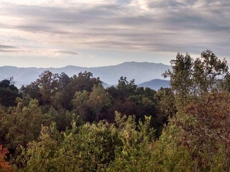 Luxurious 6BR Smoky Mountain cabin with stunning views game room fire pit and hot tub Wi-Fi - image 13