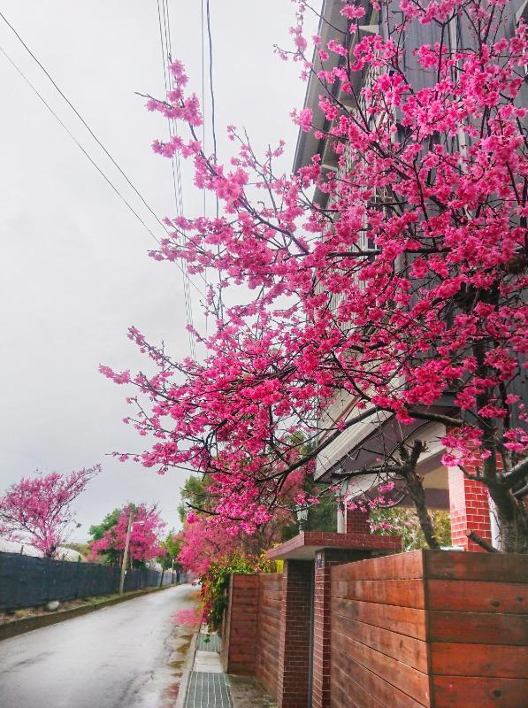 Xinshe Xiao Shu time homestay - image 12