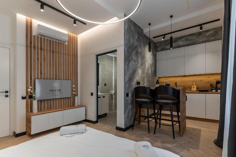 Silver Luxury Suites - image 8