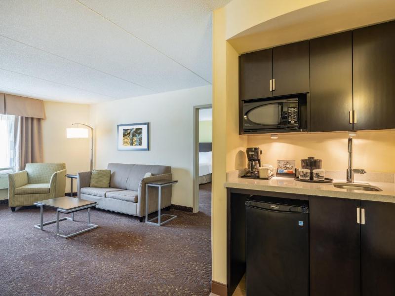 One-Bedroom King Suite image 2