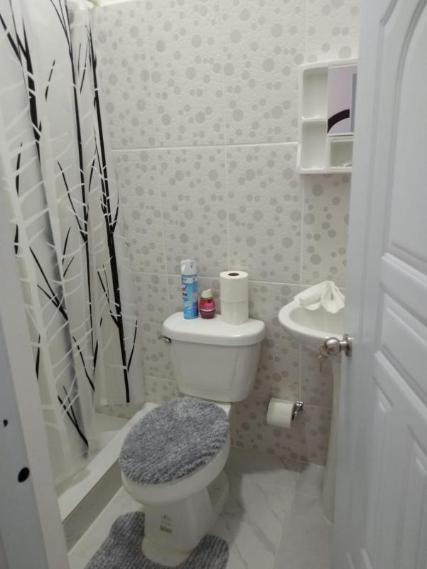 4 Bedroom 4 Bath & Laundry Room Apartment - image 8