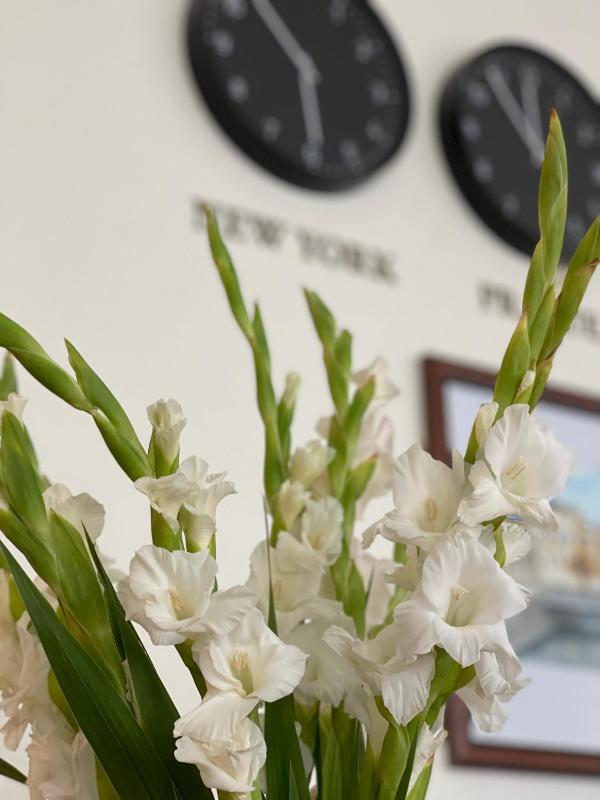 WINDSOR SPA Hotel - image 4