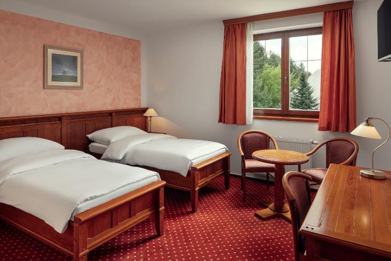 Standard Twin Room image 3