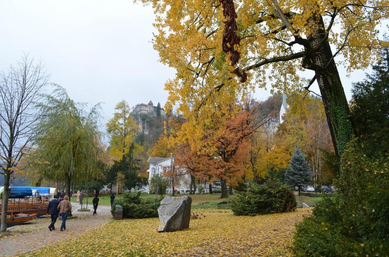 Apartments Sofija - image 8