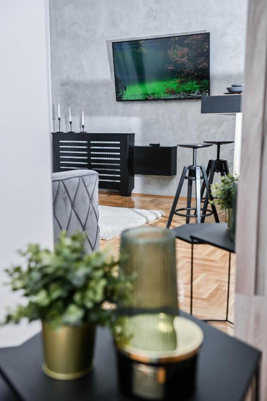 Cozy Apartment Plus - image 10