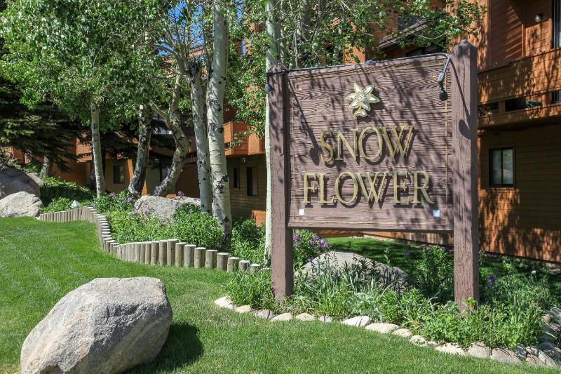 Snowflower #87 condo - image 10