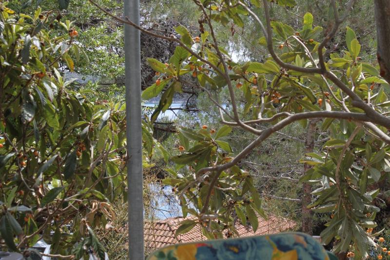 Apartments and rooms by the sea Mali Losinj (Losinj) - 7953 - image 19