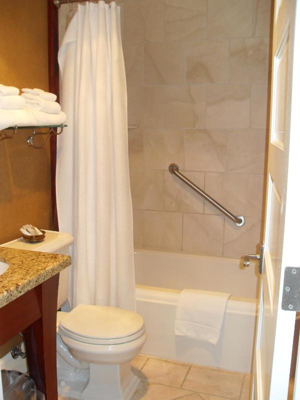 Deluxe Queen Room image 2