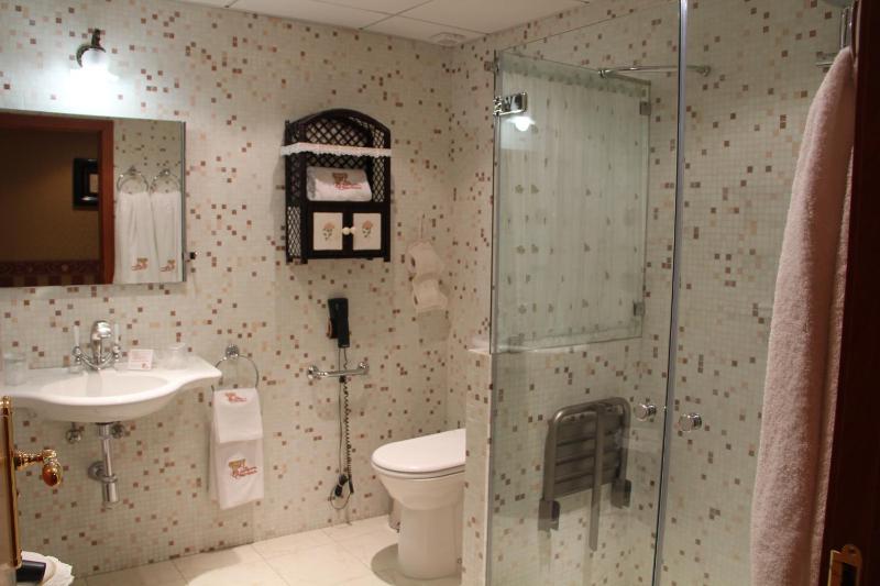 Deluxe Junior Suite image 2