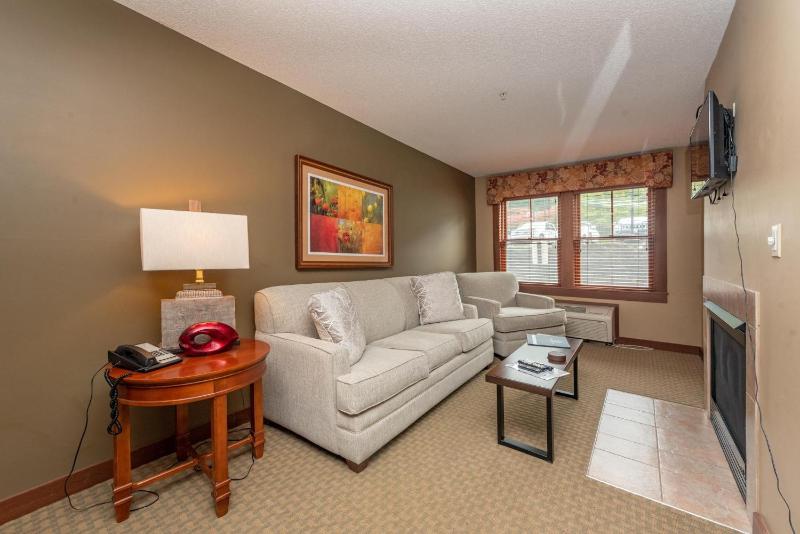 A116 One Bedroom Standard View - image 1